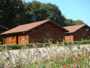  Chalet De Voetpomp  Букел